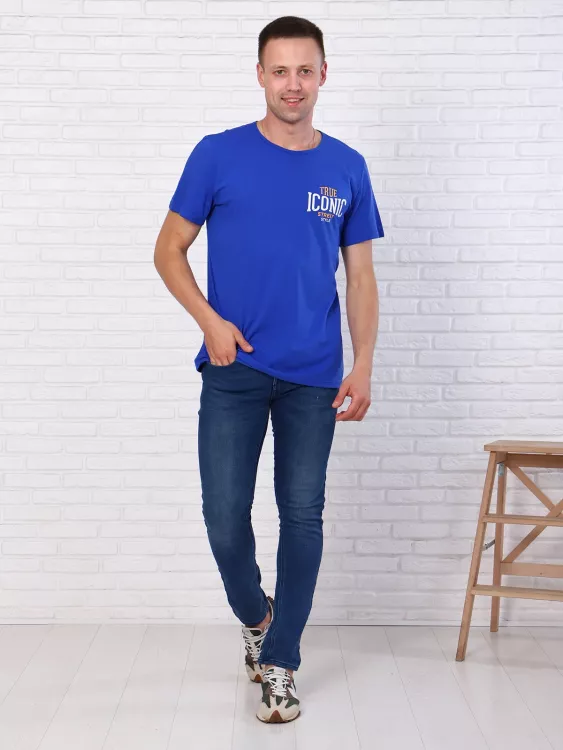 Футболка мужская 7309 (василек)