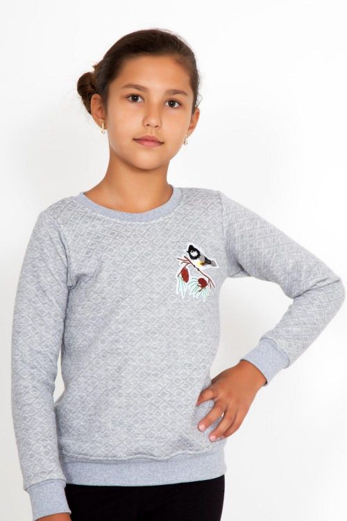 Толстовка детская Bird Арт. 3851