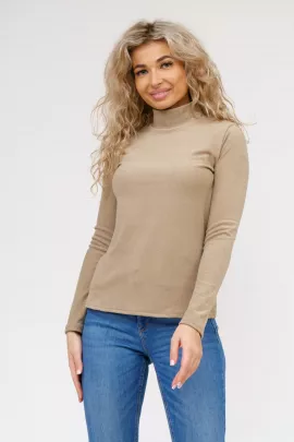 Водолазка 1268 В