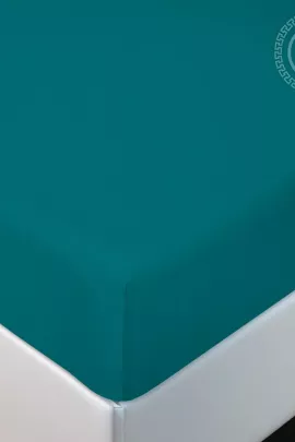 Простыня на резинке "Бирюза" 256 200х200х20 256