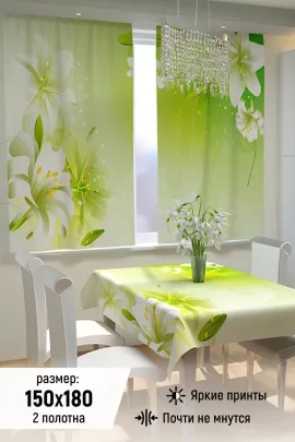 Фотошторы для кухни 10831