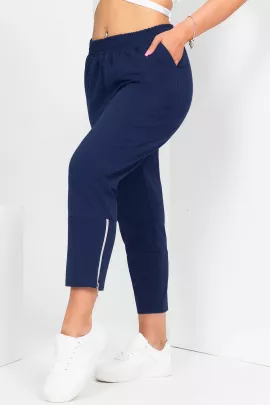 Брюки Стайл (синий)