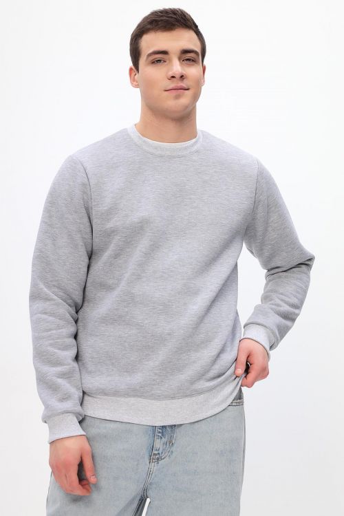 Толстовка мужская Бронд Е WB Арт. 10621