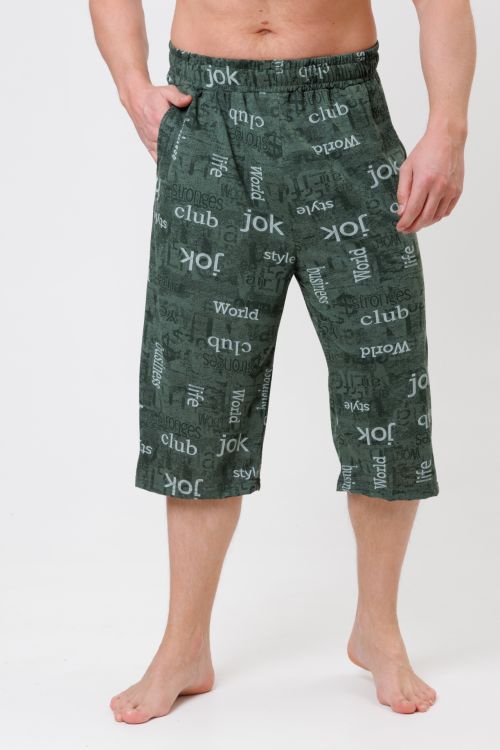 № 2196/1 Бриджи