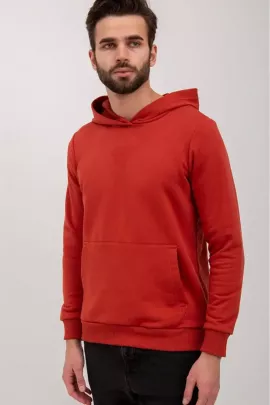 Худи мужское футер петля, Арт. 1037