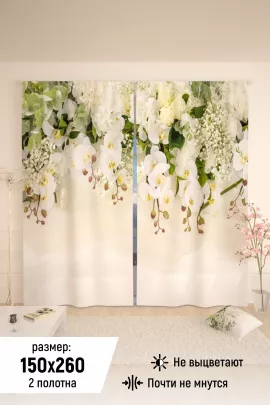 Фотошторы 10838