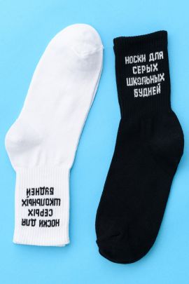 Носки мужские Школьные будни (набор 2 пары)