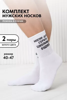 Носки мужские Школьные будни (набор 2 пары)